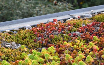 the cost of Achintraid green roof installation
