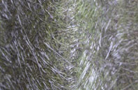 Achintraid fibreglass roof work